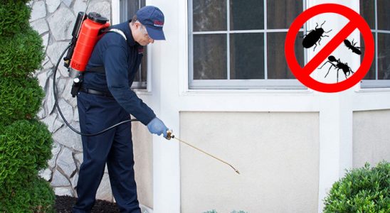 Seydiler Gümüşkurt İlaçlama böcek ilaçlama ve haşere kontrolü — ilaclama-tr.com